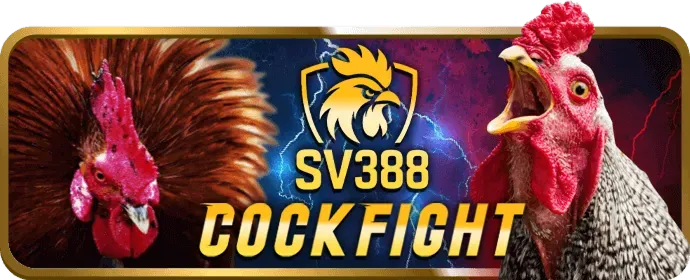 Người chơi VMAX trúng jackpot